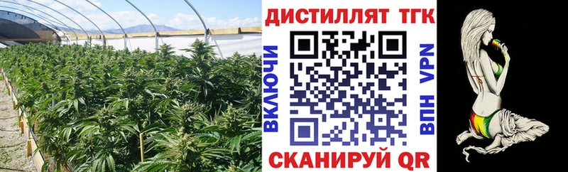 Дистиллят ТГК жижа  Снежногорск 